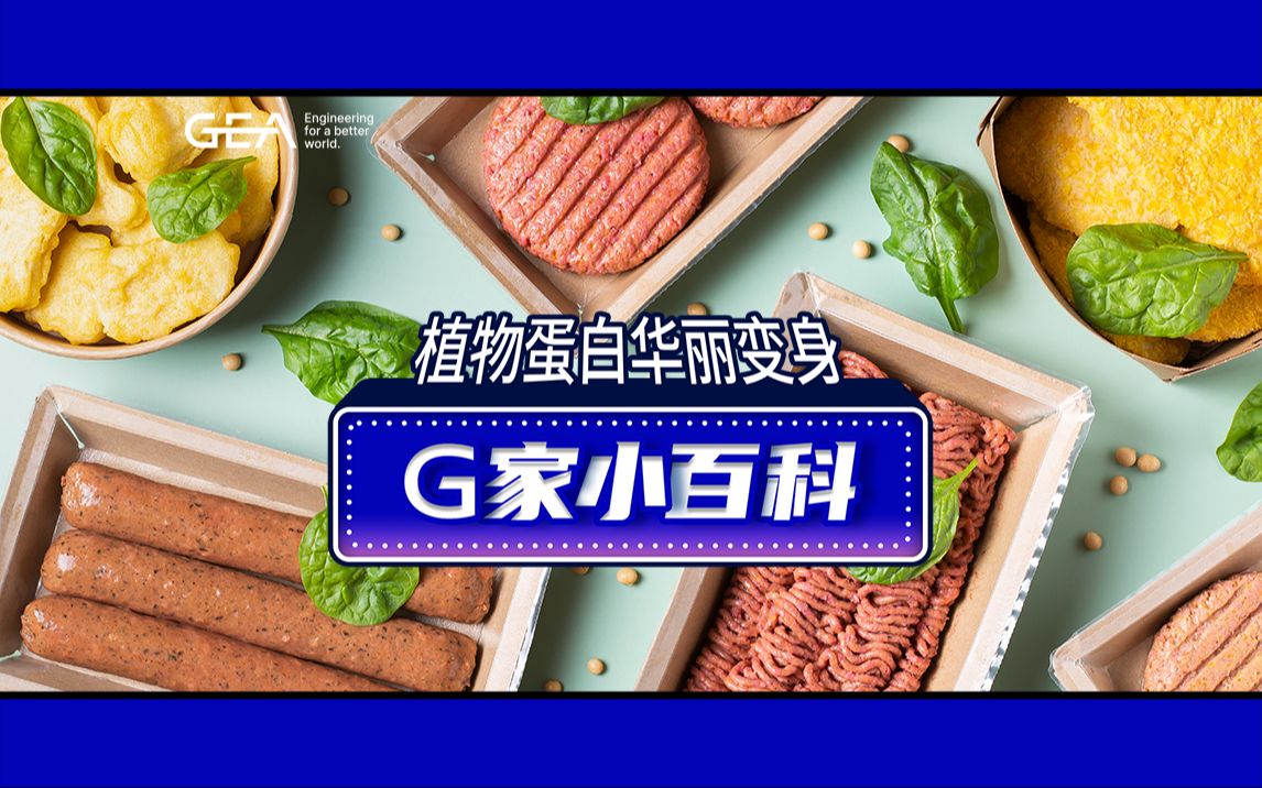 G家小百科 | 植物基新食品哔哩哔哩bilibili