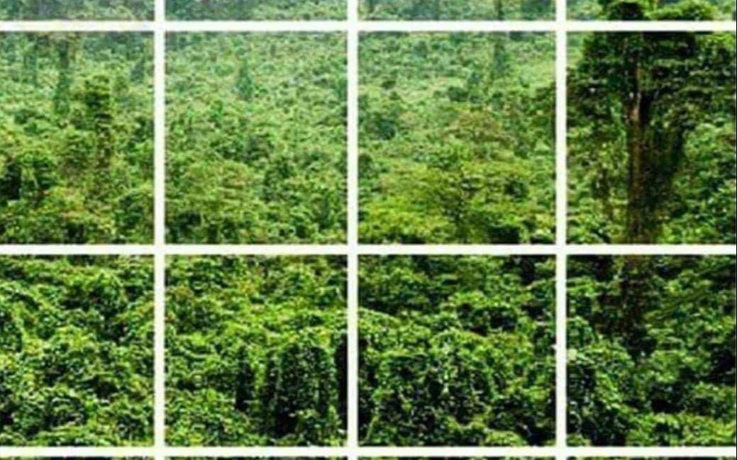 请找出图中的越共_哔哩哔哩_bilibili