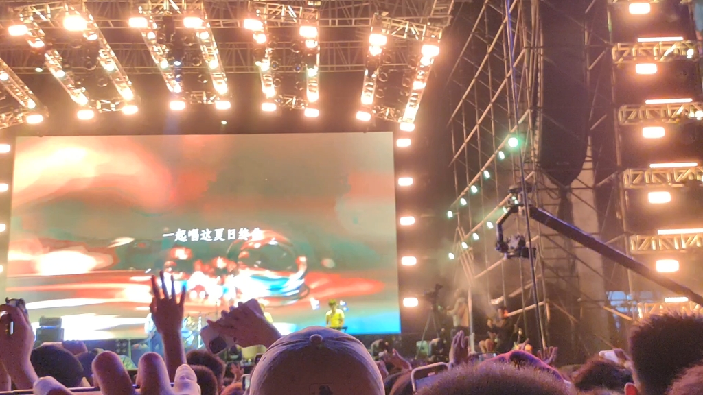 济南园博园新青年音乐节新裤子乐队现场!太嗨了!