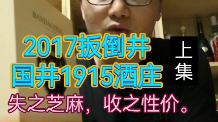 2017扳倒井国井1915品鉴上集哔哩哔哩bilibili