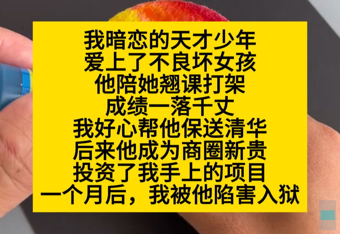 我暗恋的天才少年,却爱上了一个 不良女孩,陪她翘课打架,成绩一落千丈……小说推荐哔哩哔哩bilibili