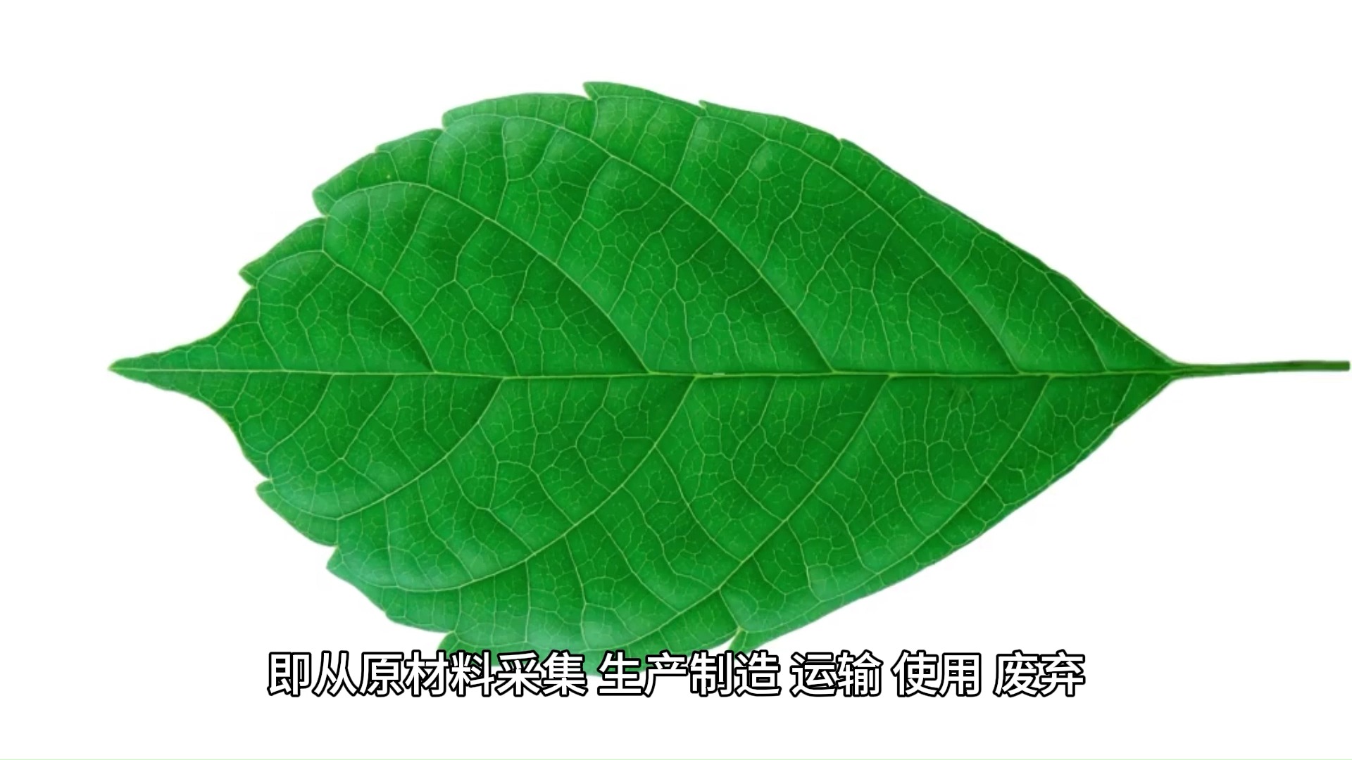 ISO 14067产品碳足迹查证考虑的因素(上)哔哩哔哩bilibili