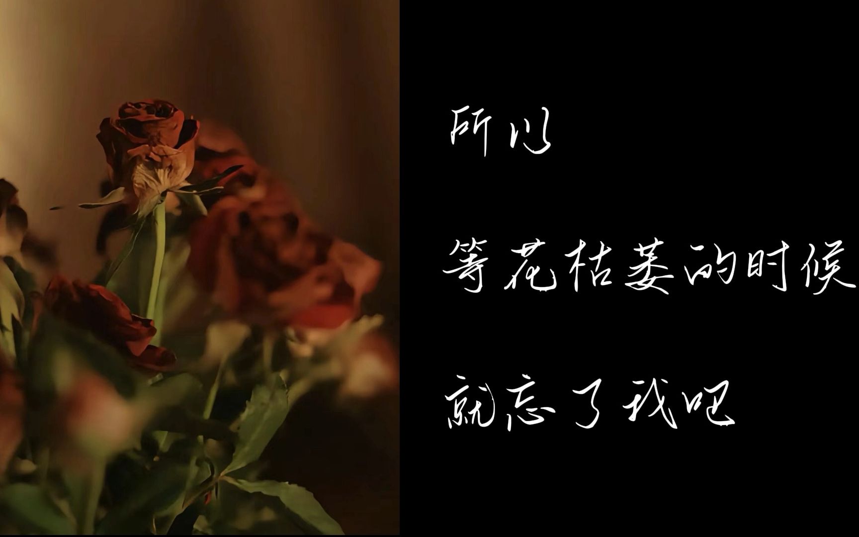 等花枯萎的时候 就忘了我吧