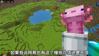 网易居然也有这模组？