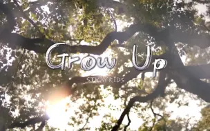 Straykids《Grow up》你已经做的非常好了｜能给予无穷力量的歌曲｜慢慢来 你可以做到