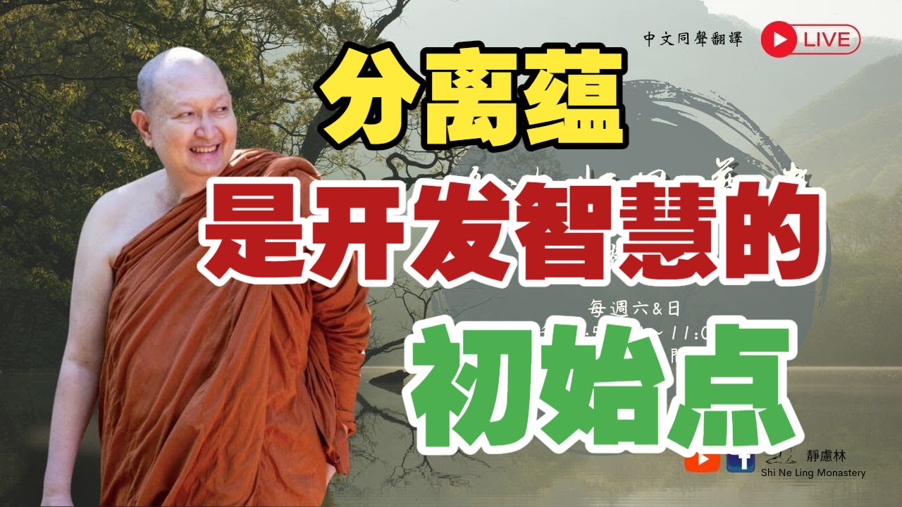Live 直播｜分离蕴是开发智慧的初始点  2026.05.24 隆波帕默尊者法談開示