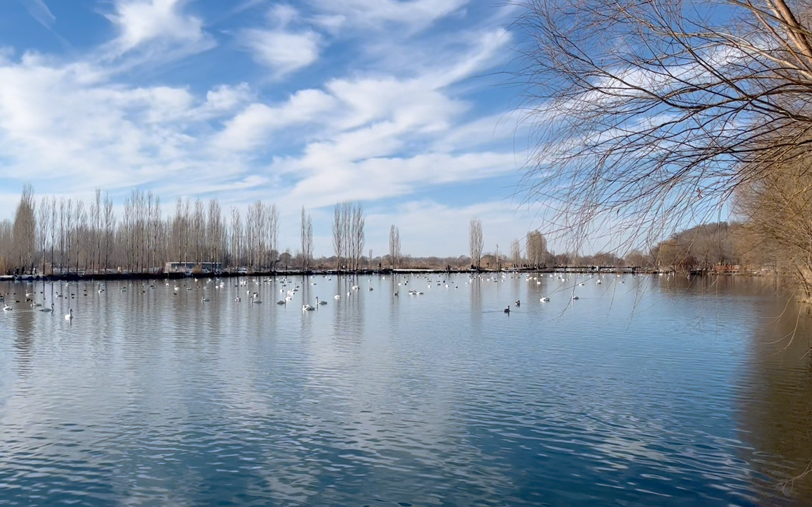 【新疆旅行记录】伊宁县天鹅湖