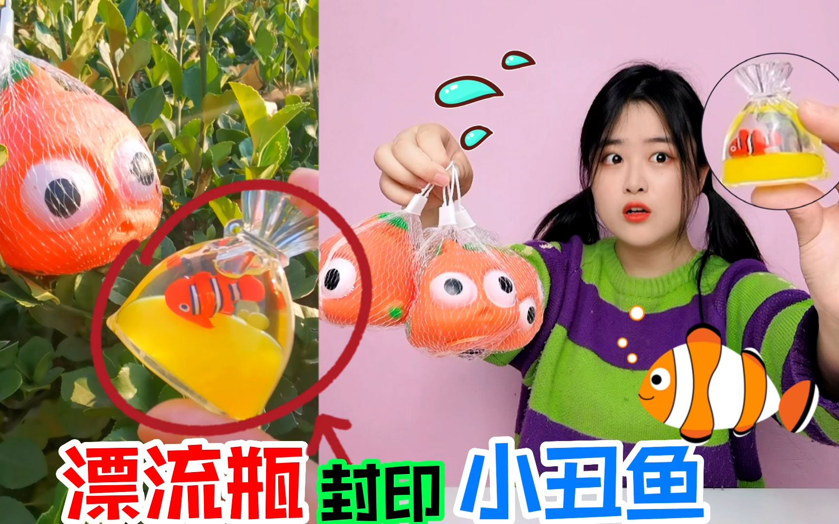 [图]小丑鱼里有“漂流瓶”！一口气抽4只，瓶中鱼真能复活吗？