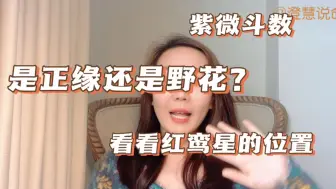 Video herunterladen: 是正缘还是野花？看看红鸾星的位置｜桃花星｜红鸾心动｜紫微斗数