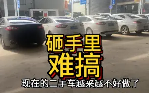 下载视频: 车贩子：二手车越来越难做，下半年会更惨淡