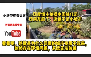 印度博主拍摄中国绿化带，印网友麻了：这绝不是小城市