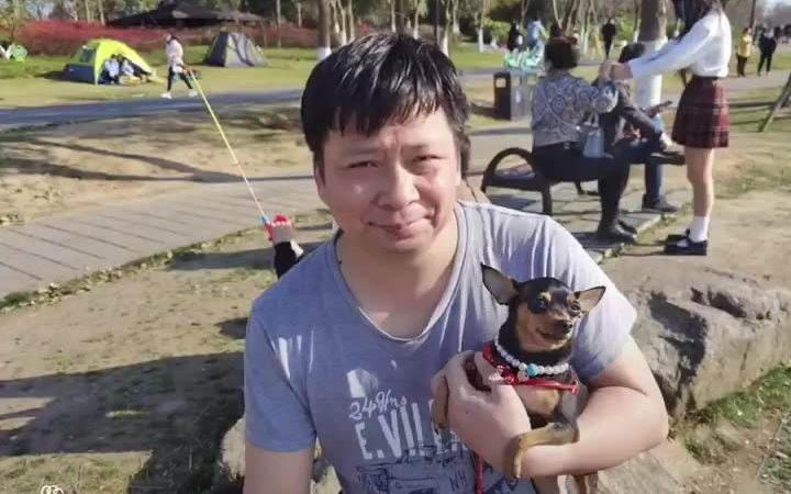 [图]跟小鹿犬一起唱歌