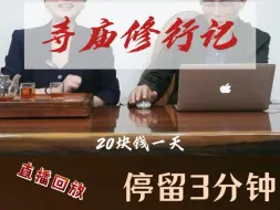 Video herunterladen: 你想去寺庙修行么