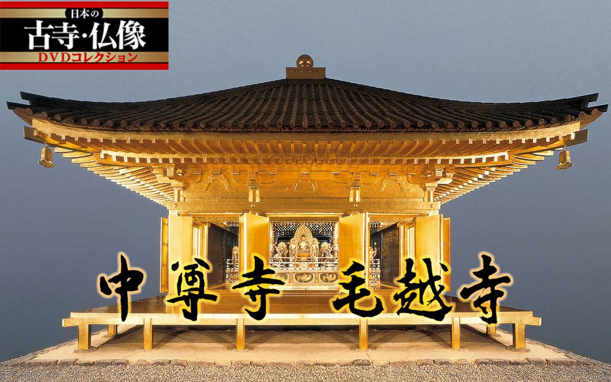 【日本的古寺ⷤ𝛥ƒ】8.中尊寺ⷦ𖊥ﺣ€成都考古所字幕组】哔哩哔哩bilibili