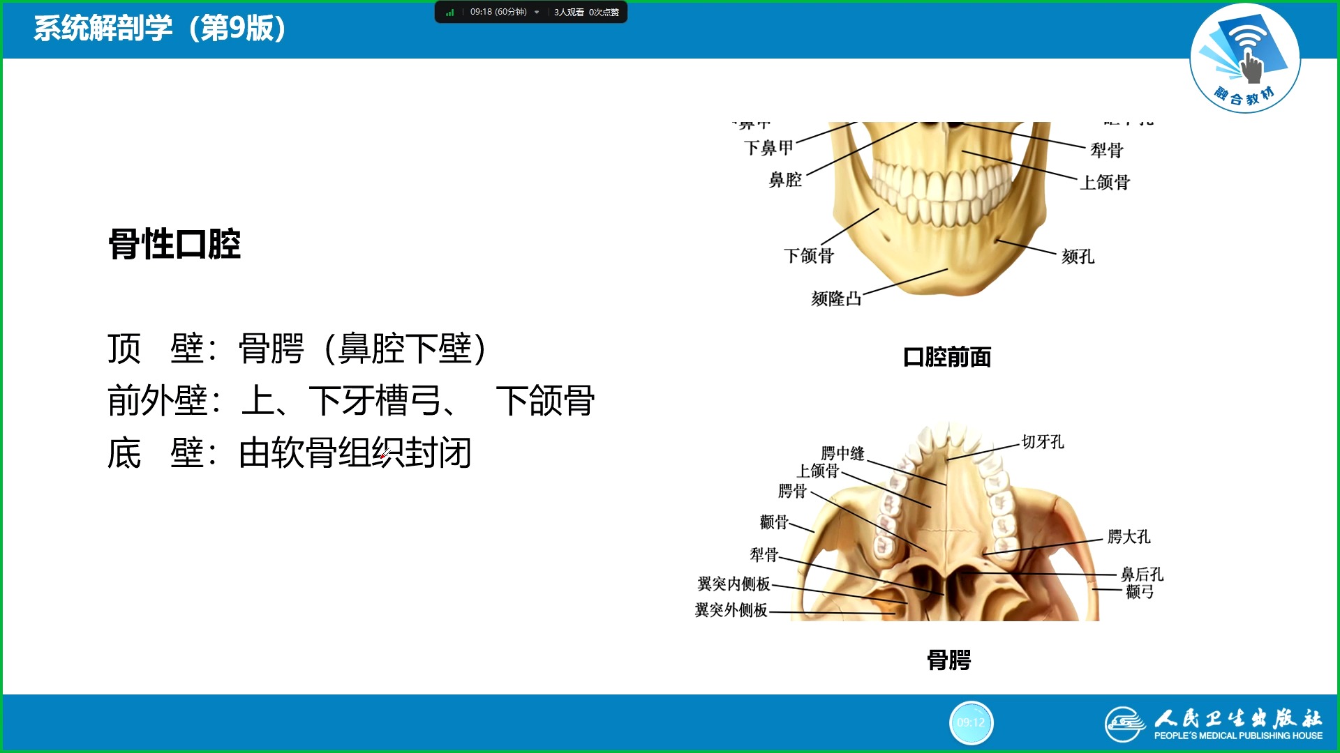 鼻旁窦解剖图3D图片