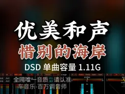 Descargar video: 优美和声，经典闽南歌曲《惜别的海岸》DSD完整版1.11G，百万调音师专业录音棚制作，顶级HIFI无损音质