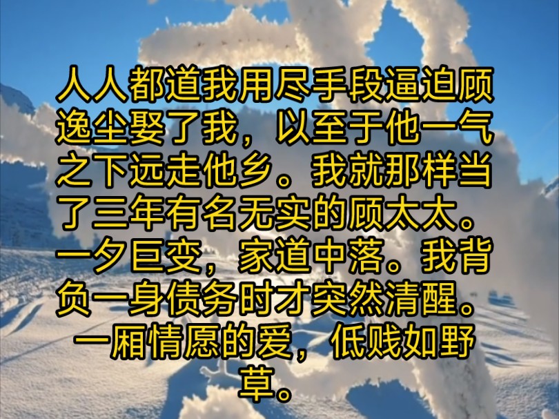 人人都道我用尽手段逼迫顾逸尘娶了我,以至于他一气之下远走他乡.我就那样当了三年有名无实的顾太太.一夕巨变,我背负一身债务时才突然清醒.一厢...