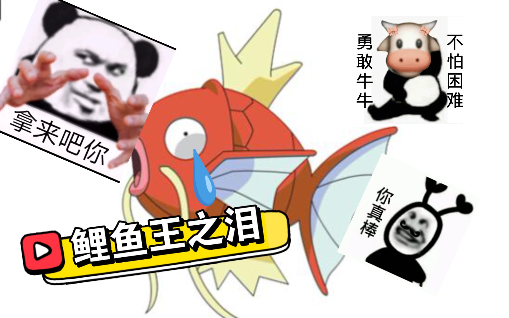 关于我在沙湖抓了十箱鲤鱼这件事!_哔哩哔哩bilibili