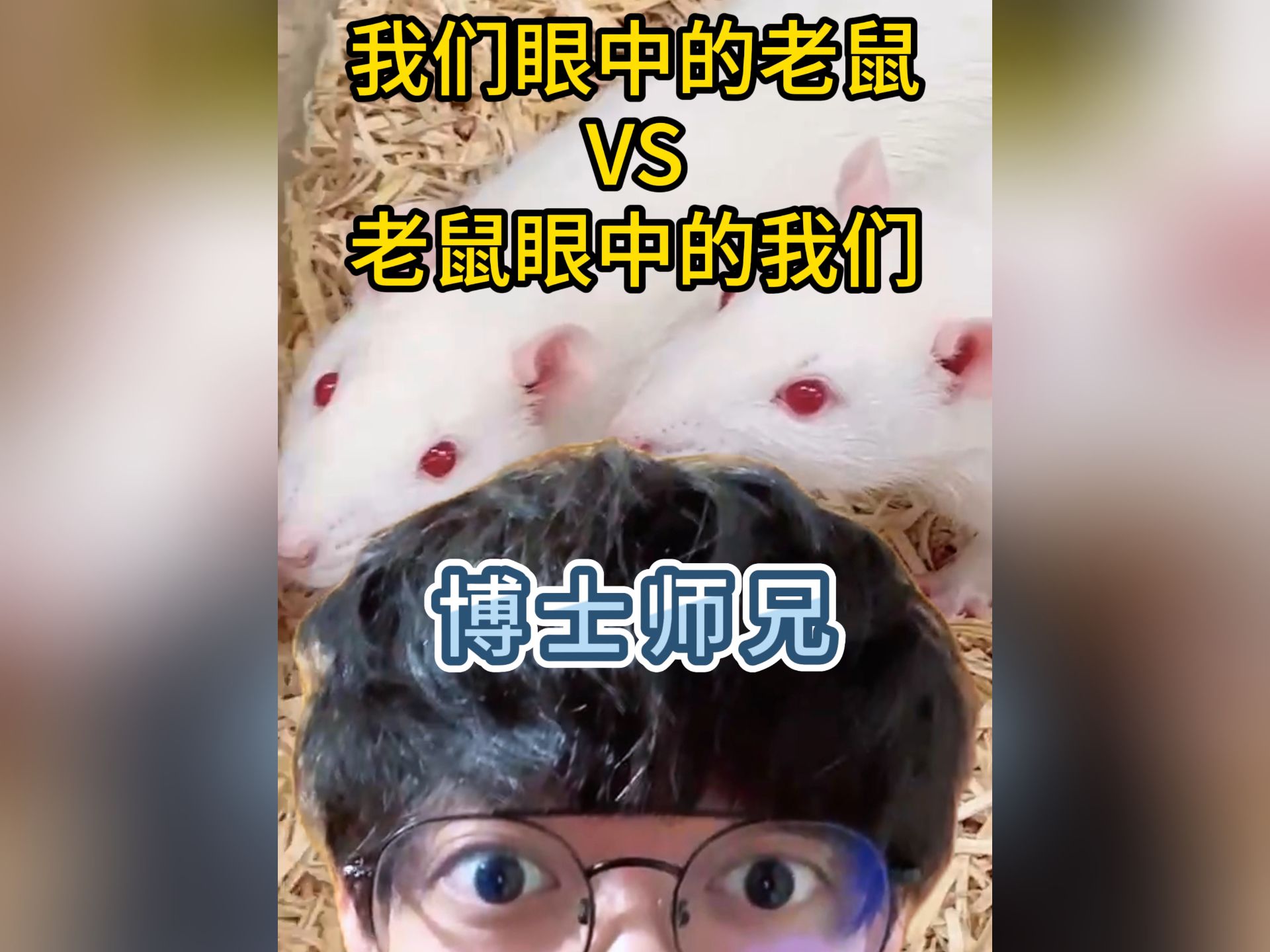 博士眼中的老鼠 VS 老鼠眼中的博士 𐟐�‘️❗哔哩哔哩bilibili