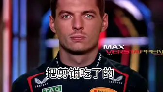 【F1meme】胶圈群星闪耀时