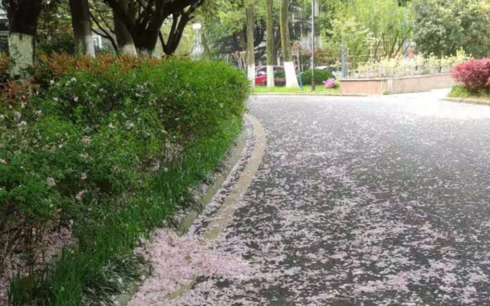 [图]《营养与食品卫生学》完结