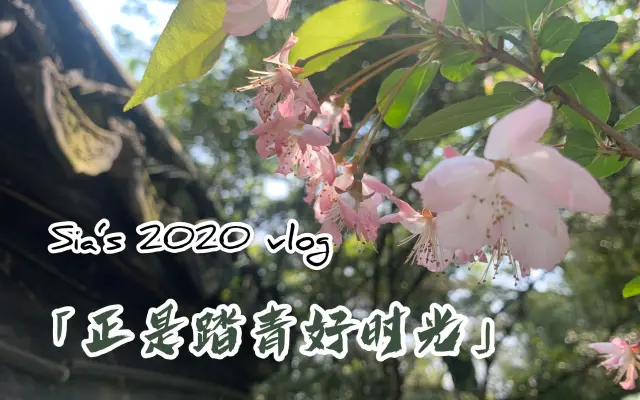 丝芽菜sia的个人空间 哔哩哔哩 Bilibili