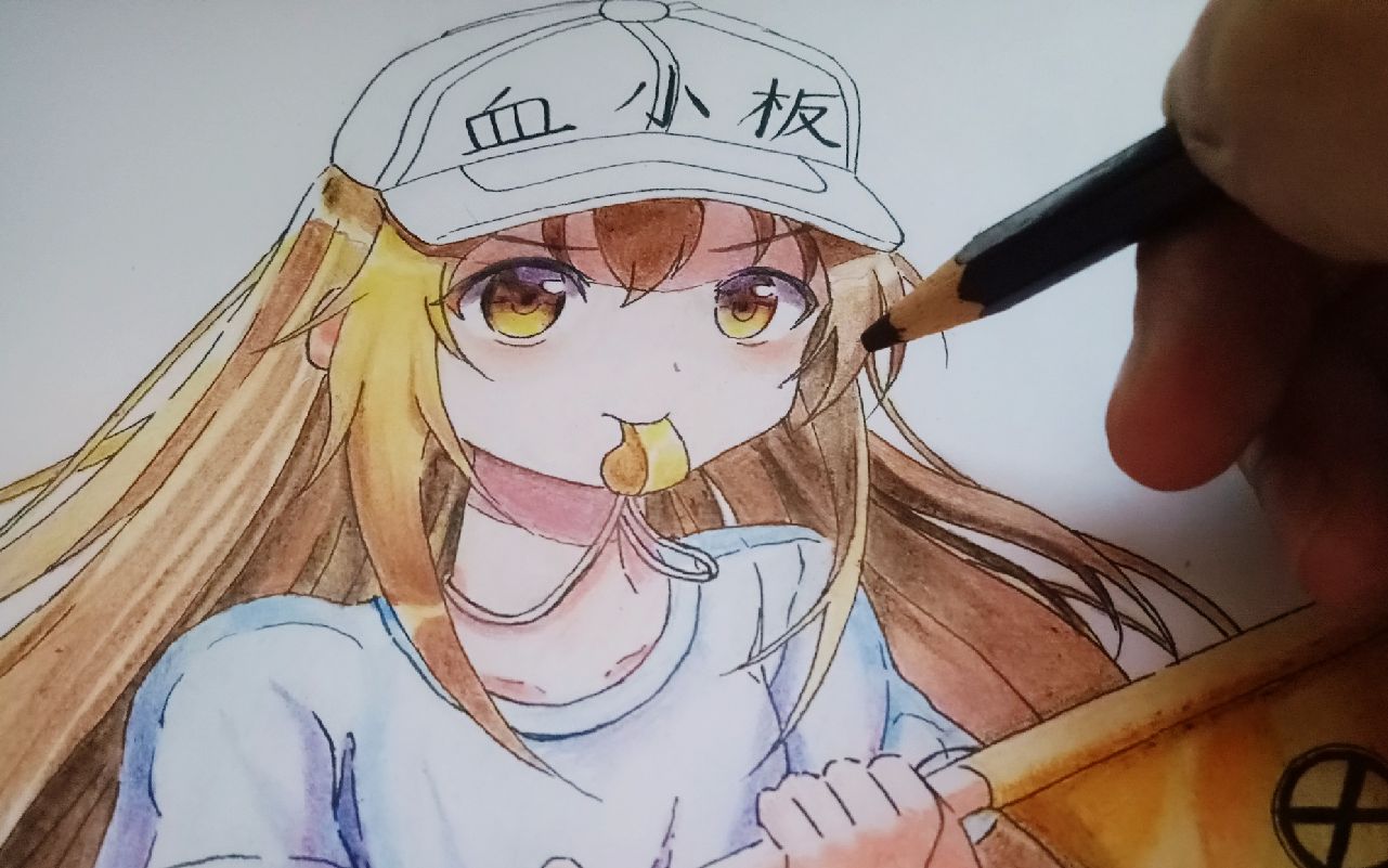【彩铅上色】血小板_哔哩哔哩 (゜-゜)つロ 干杯~-bilibili