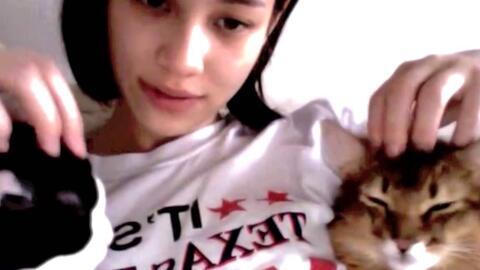 水原希子和她的猫猫let S Stay For Ever 哔哩哔哩