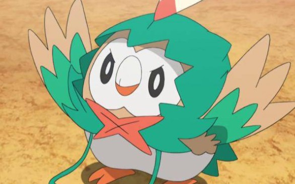 [精灵宝可梦/木木枭]这次就让南小鸟来燃一次吧!