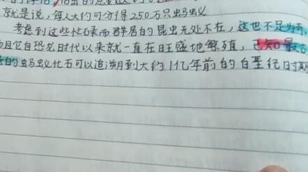 22 10 4可可英语打卡 哔哩哔哩 22 10 4可可英语打卡 哔哩哔哩