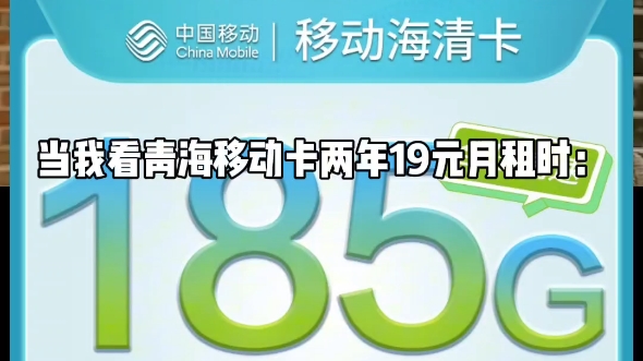 难得神卡!两年19元!青海移动神卡!但是无语音功能,不是物联卡哔哩哔哩bilibili