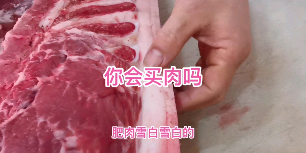 教你如何买到放心肉哔哩哔哩bilibili