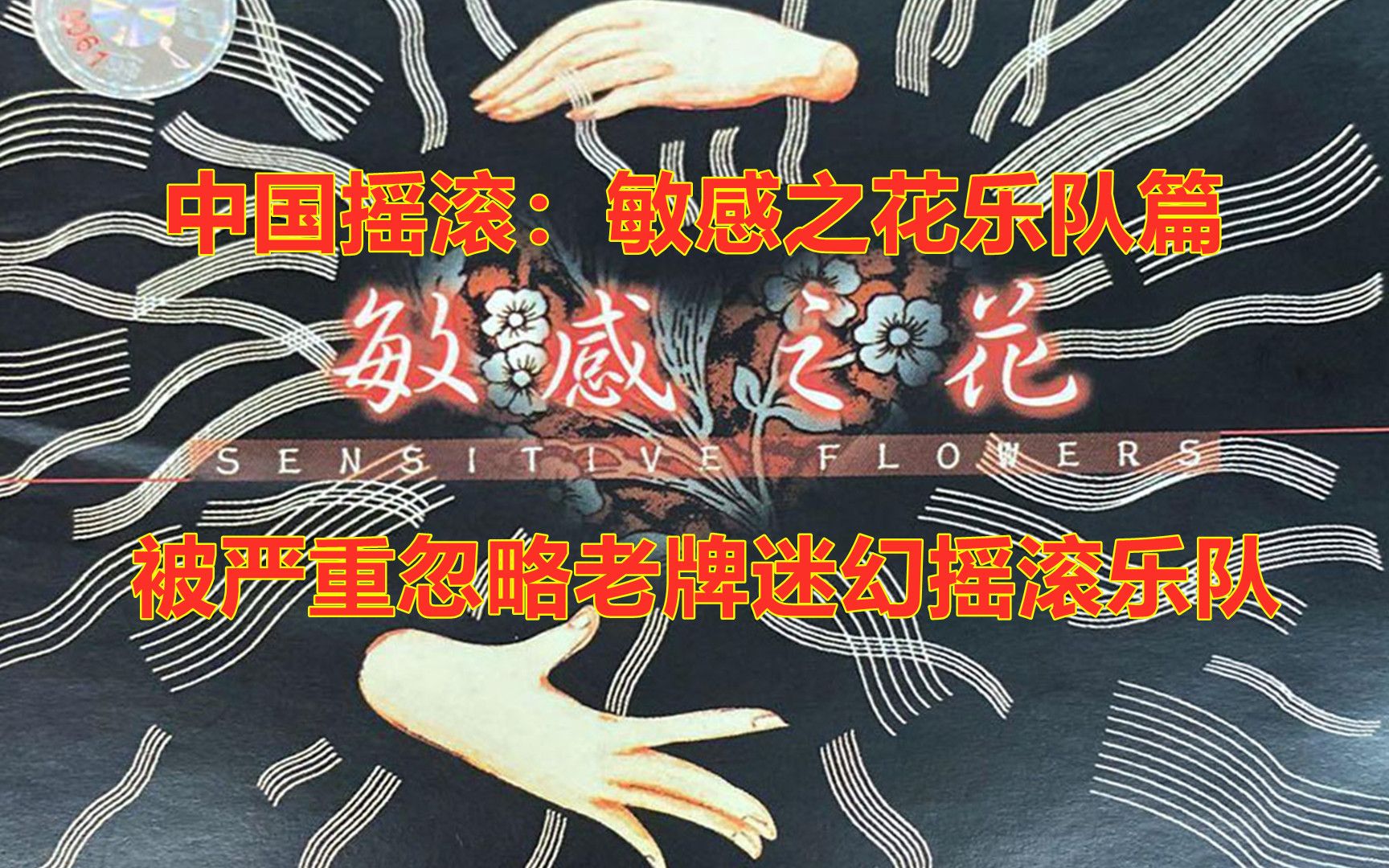 中国摇滚:敏感之花乐队篇,被严重忽略老牌迷幻摇滚乐队_哔哩哔哩_bili