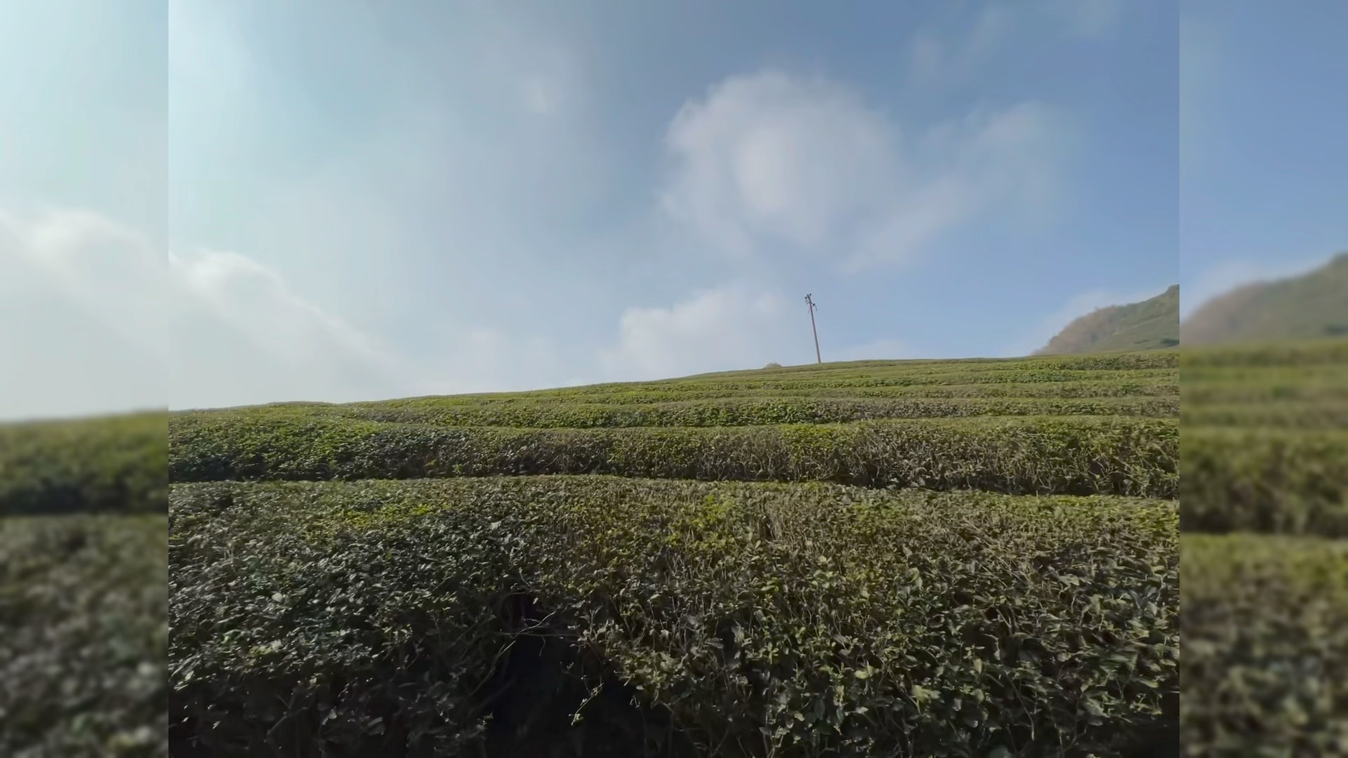 钱湖柏庭-龙潭水库-东道岭古道-福泉山茶园-横街村(小环线