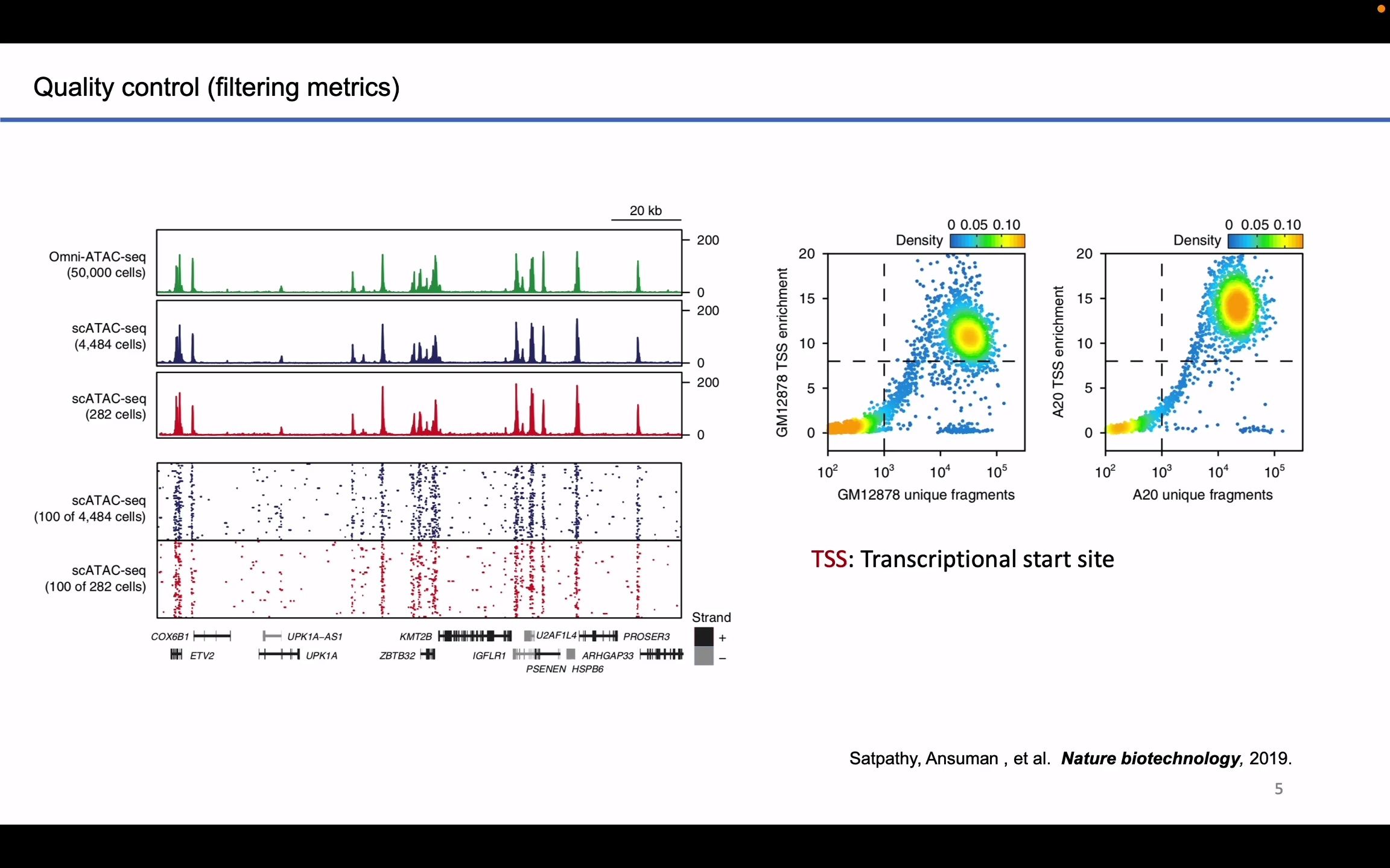 scATACseq 单细胞染色质可及性数据全流程分析最佳实践哔哩哔哩bilibili