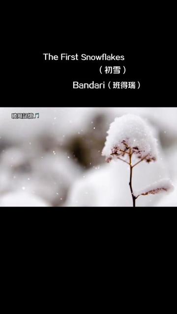 [图]《The First Snowflakes（初雪）》，在钢琴声表达的洁白世界里，一切都变得那么美好，那么纯洁，空灵而飘渺！此时可以想象着，雪在静静地飘，琴声在慢