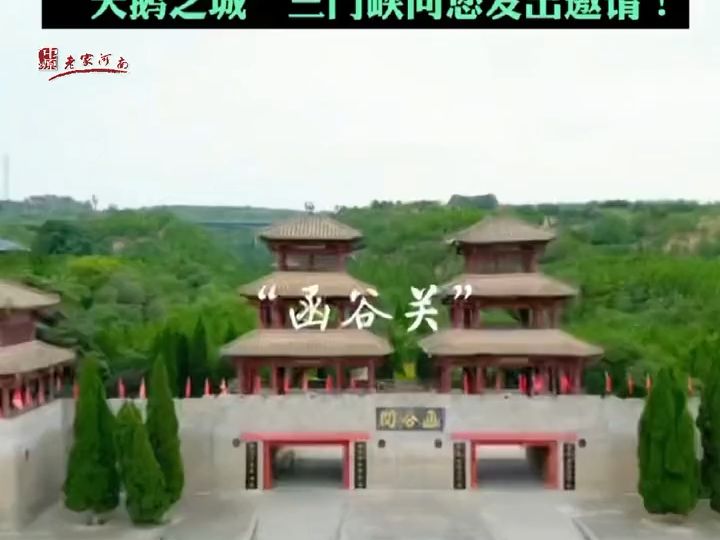 行走河南ⷨﻦ‡‚中国 |三门峡文旅来亮家底啦!“天鹅之城”向全国游客发出邀请哔哩哔哩bilibili