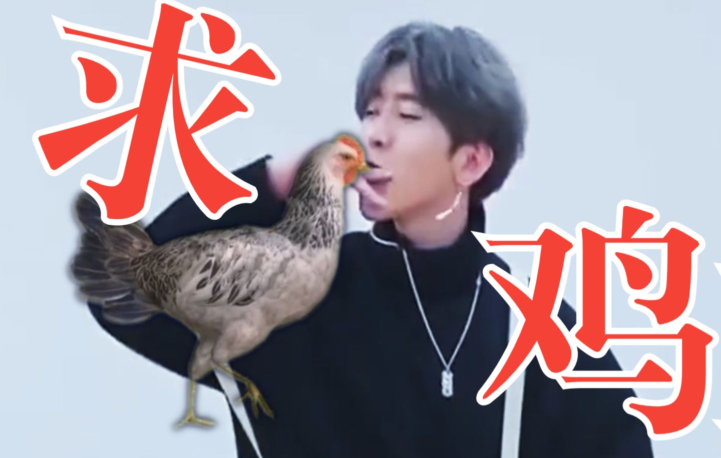 [图]🐔 求 鸡 🐔