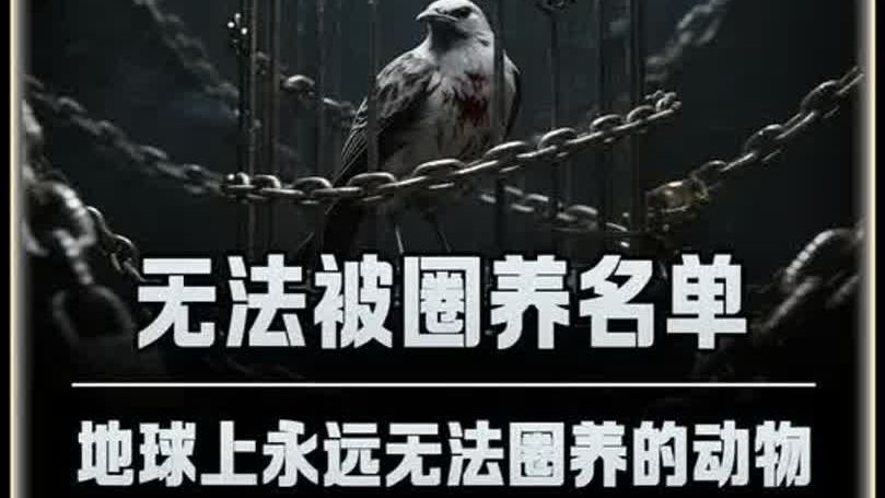 这些动物人类永远也无法关住，宁死也不妥协 #科普 #探索发现海报