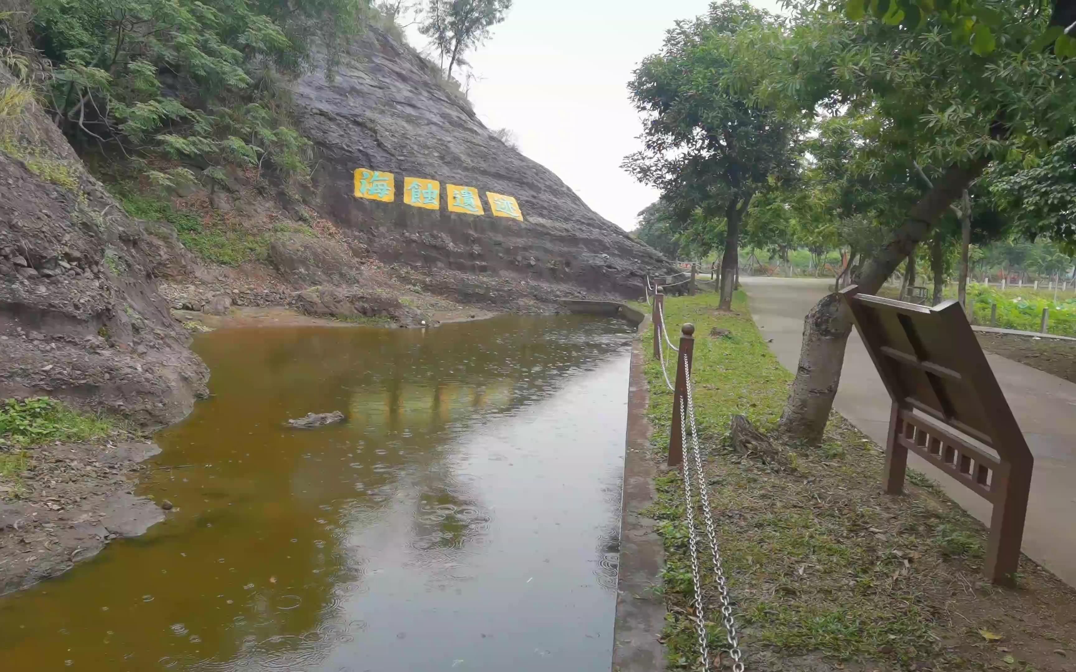 中山黄圃海蚀遗址公园图片