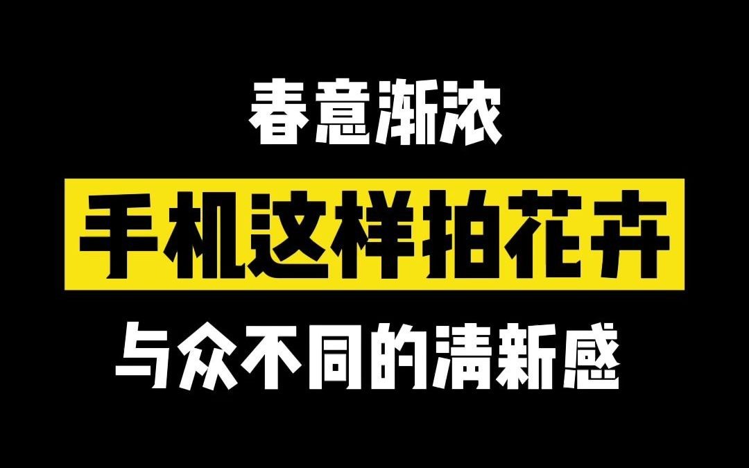 春意渐浓“手机这样拍花卉”,与众不同的清新感哔哩哔哩bilibili