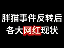 Download Video: 胖猫事件反转后，各大网红现状