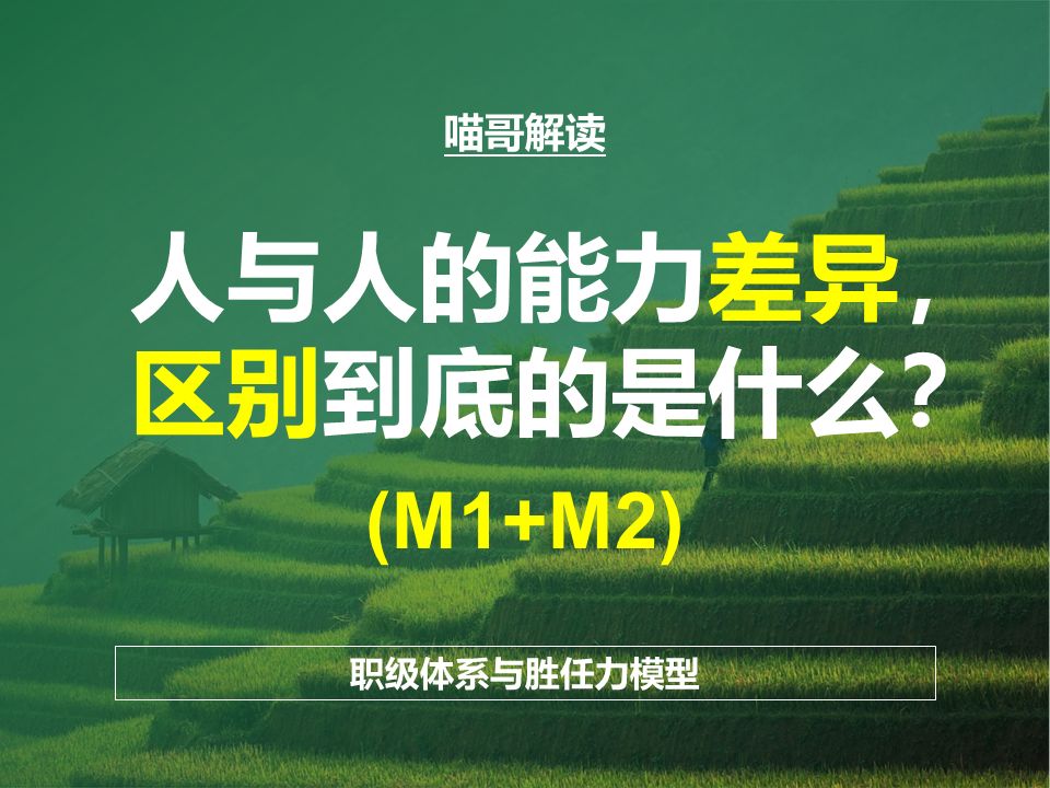 职级体系与胜任力标准管理篇——M1+M2哔哩哔哩bilibili