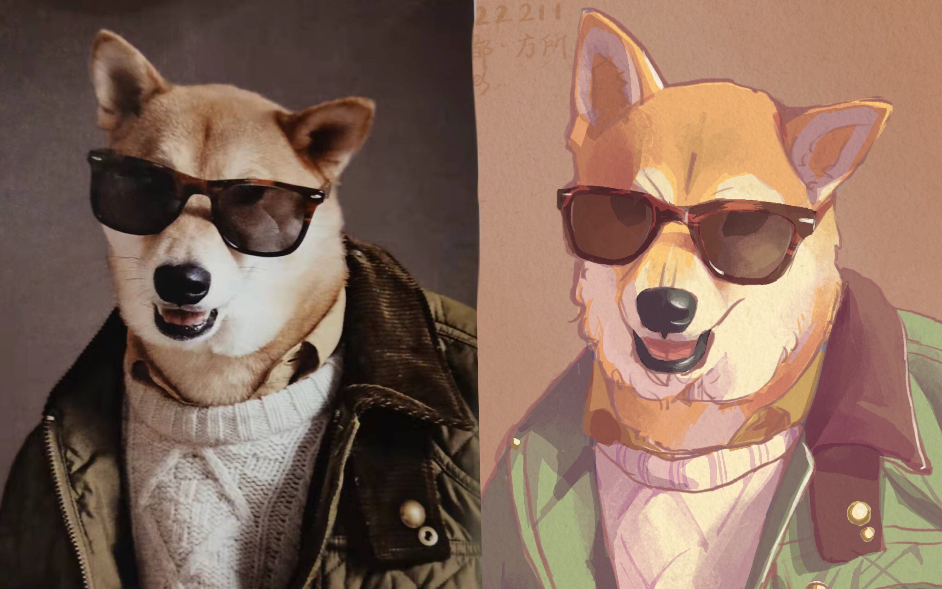 活动  柴犬绅士