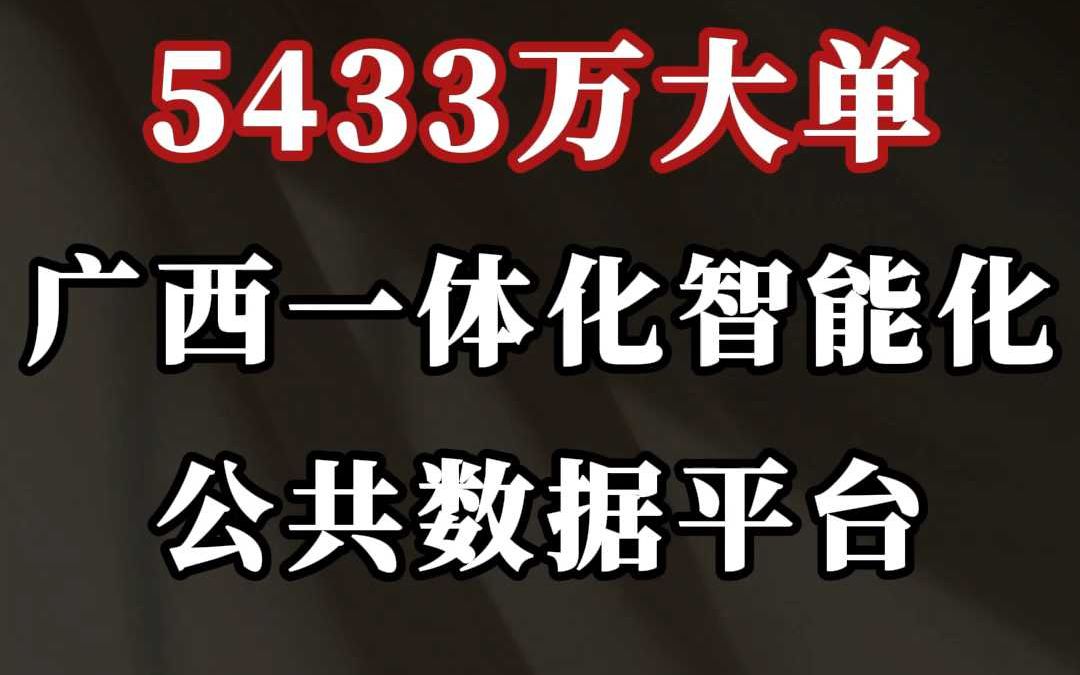 5433 万大单、广西一体化智能化公共数据平台哔哩哔哩bilibili