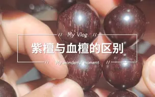 Download Video: 三个方面区分小叶紫檀与血檀