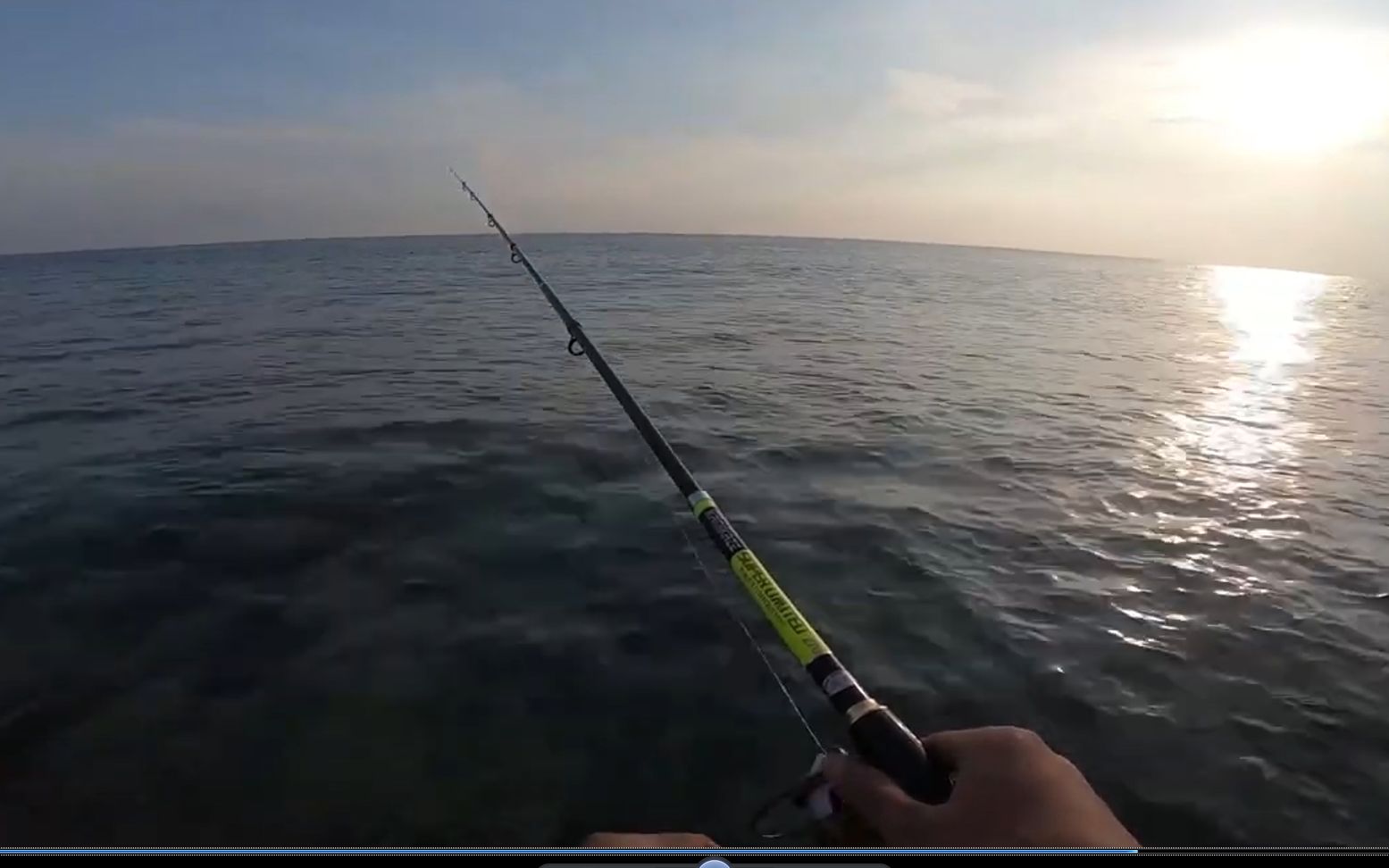 赶海一晚上,然后再海钓,真的过瘾