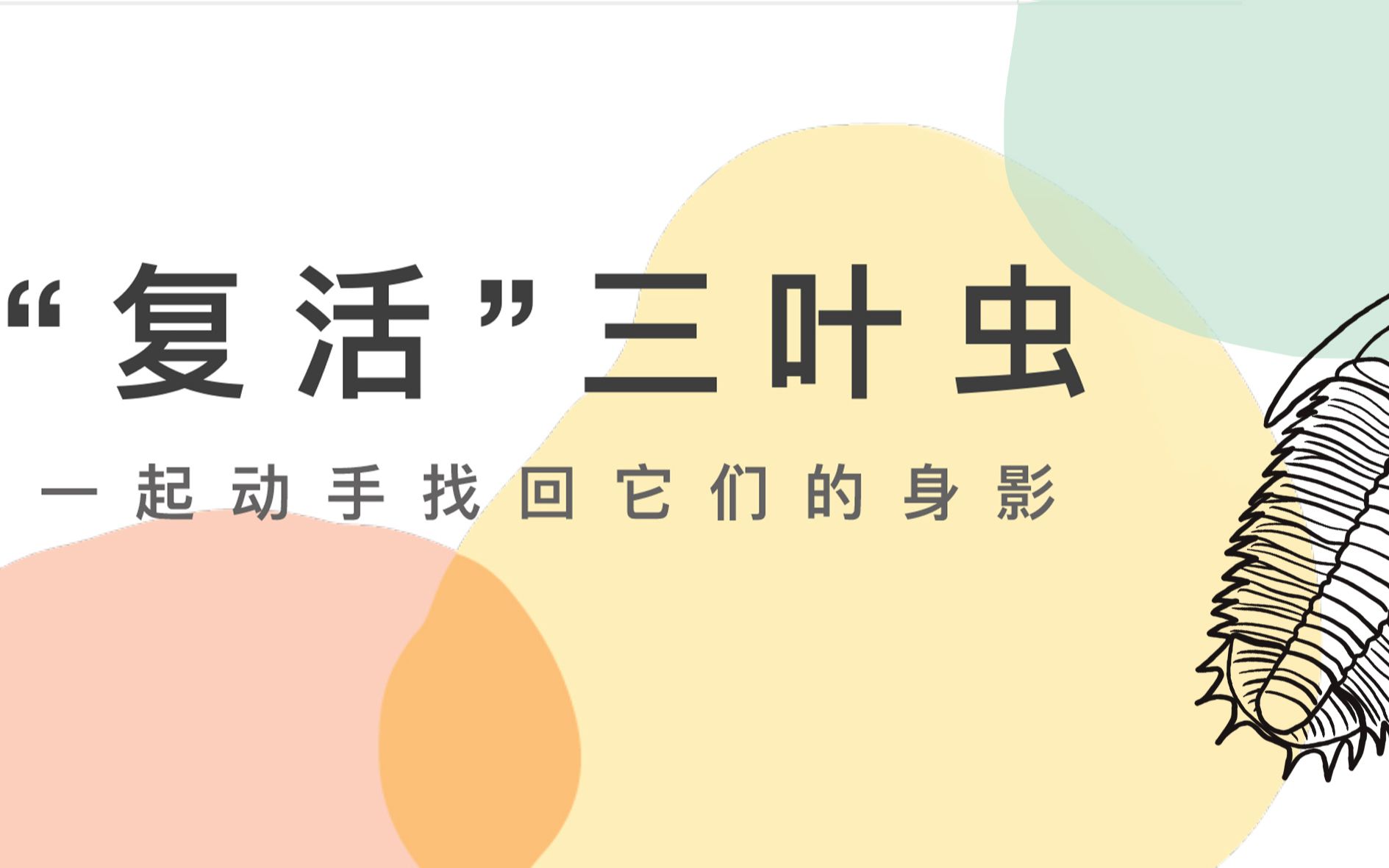 【科普活动】“复活”三叶虫——一起动手找回它们的身影哔哩哔哩bilibili