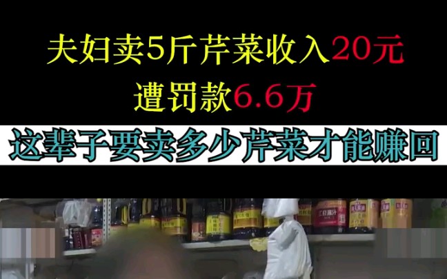 夫妻卖5斤芹菜收入20元,遭罚款6.6万元,女子:这辈子要卖多少吨才能赚回来 "社会百态 "罚款 "农民哔哩哔哩bilibili