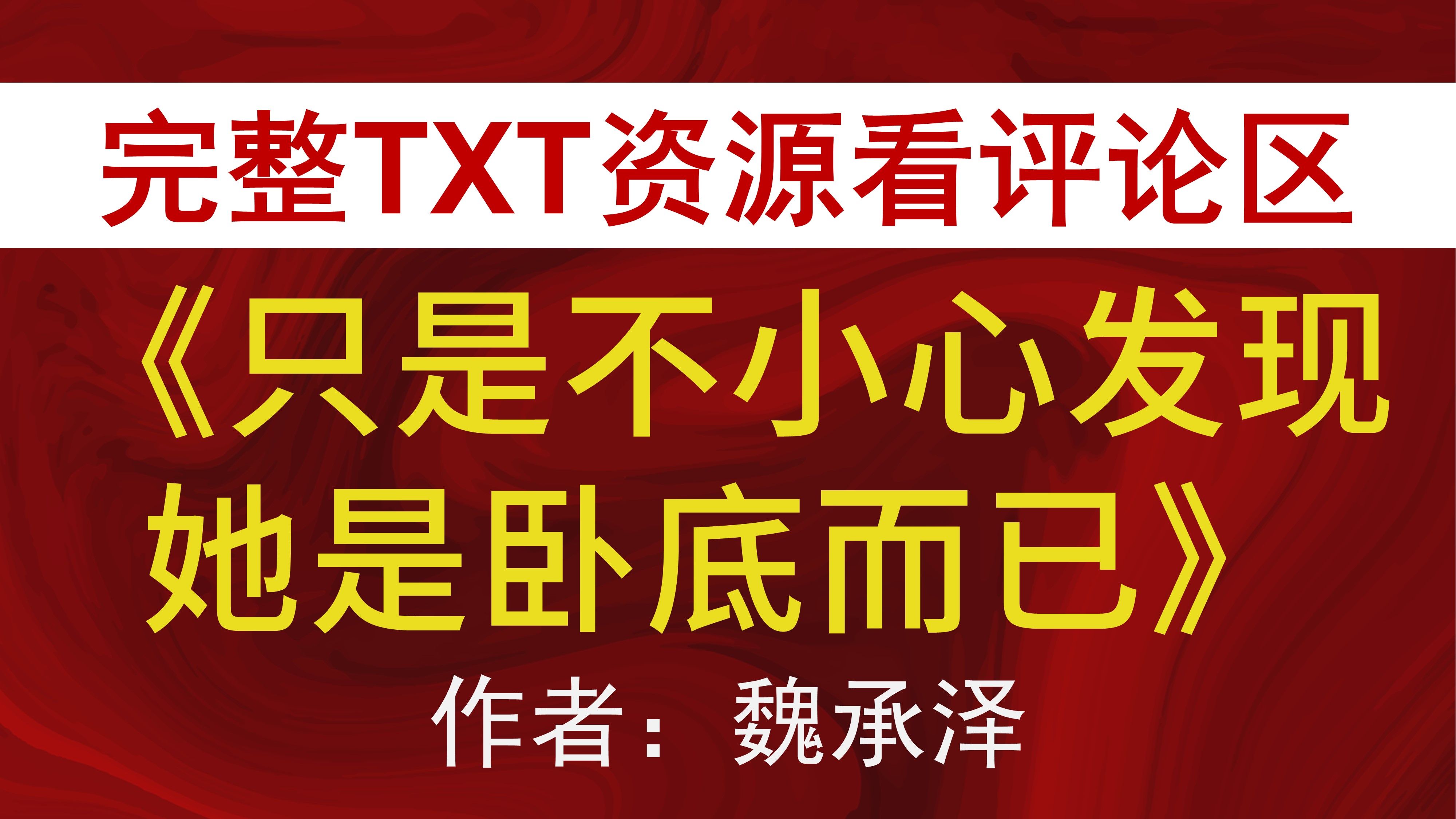 【小说推荐+TXT资源】《只是不小心发现她是卧底而已》魏承泽哔哩哔哩bilibili